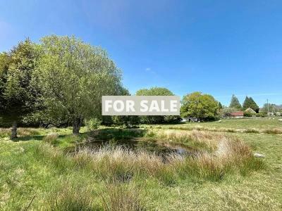 Property For Sale