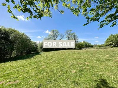 Property For Sale