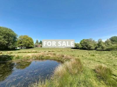 Property For Sale