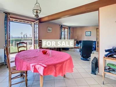 Detached House with Conservatory and Large Garden