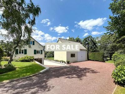 Property For Sale