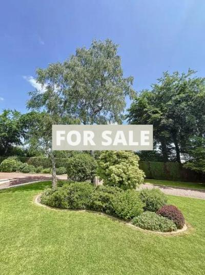 Property For Sale