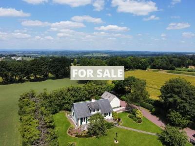 Property For Sale