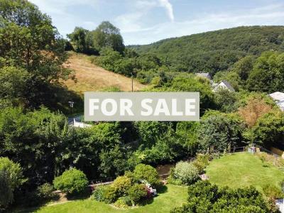 Property For Sale