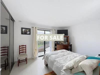 Contemporary Detached House