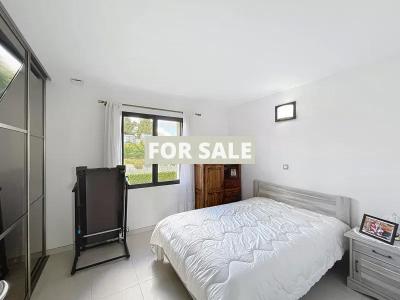 Contemporary Detached House