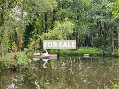 Main House with Glamping Activity in 1.4 Hectares