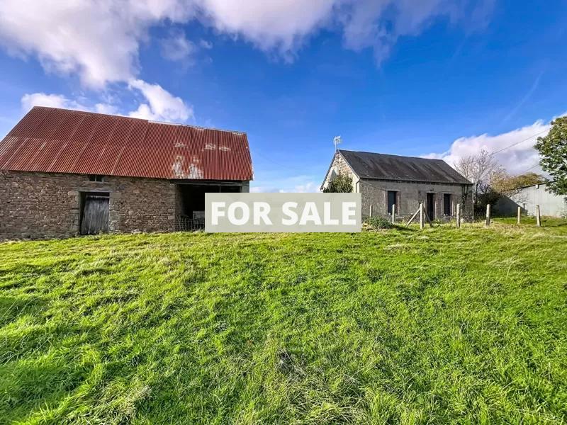 Detached Country House with Outbuilding