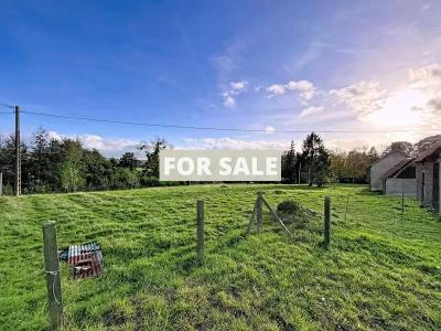 Detached Country House with Outbuilding