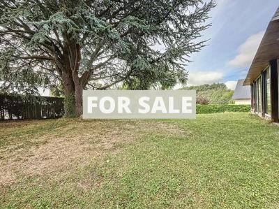 Detached House with Garden