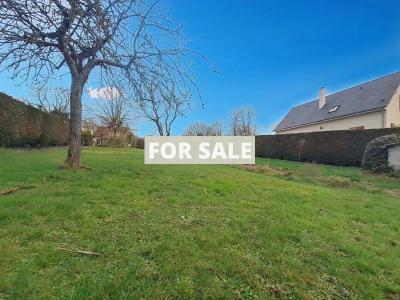 Detached House with Garden