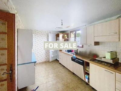 Detached House with Garden