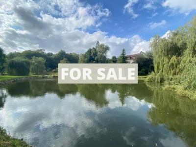 Detached House in One Hectare with Lake