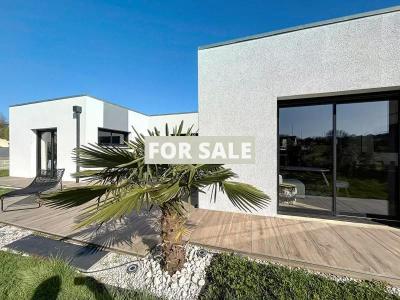 Uber Contemporary Detached House