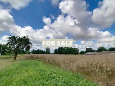 Detached Country House with OutbuildingClose to Mont-St_Michel