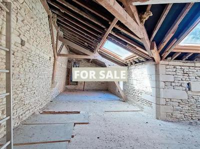 Building to Finish Renovations, Huge Potential