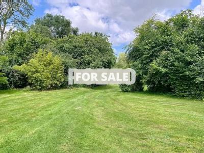 Property For Sale