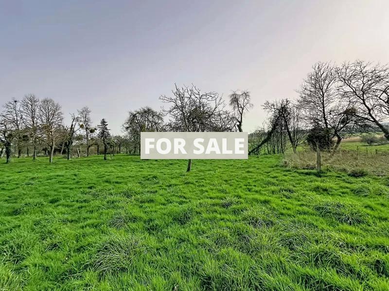 Detached Country House with Open Views