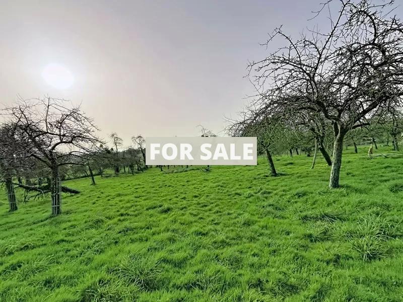 Detached Country House with Open Views