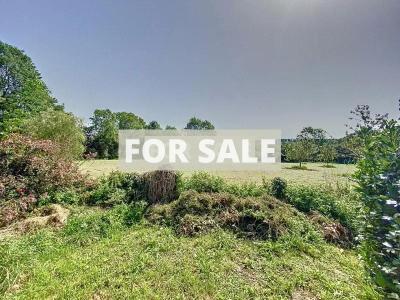 Detached House with Garden by the Coast
