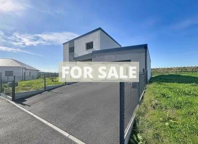 Contemporary Detached House