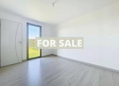 Contemporary Detached House