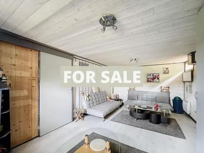 Detached House with Terrace and Landscaped Garden