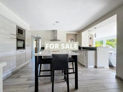 Stunning Property in 2.7 Hectares by Lake Dathee