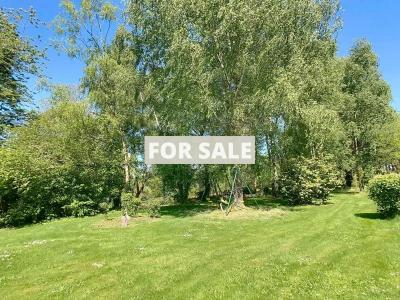 Detached Country House with Outbuilding