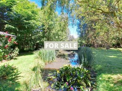 Property For Sale