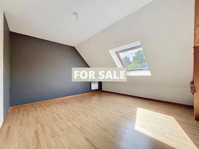 Modern Detached House with Garden