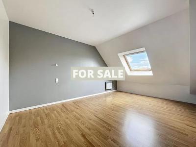 Modern Detached House with Garden