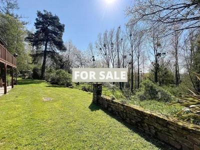 Property For Sale