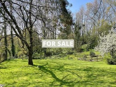 Property For Sale
