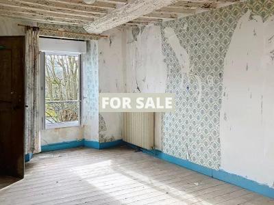 Large Town House with Garden