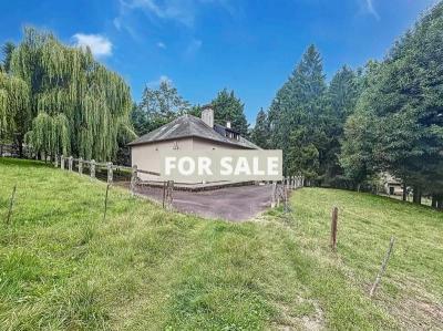 Detached House with Garden