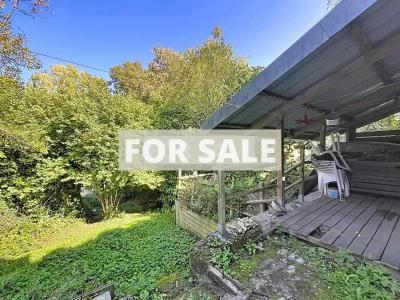 Large Detached House with Garden