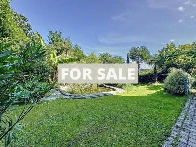 Property For Sale