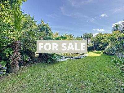 Property For Sale