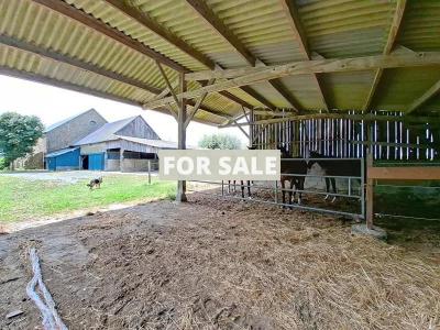 Farmhouse, Two Guest Gites, Outbuildings and View of Mont-St_Michel