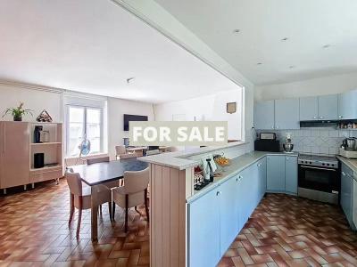 Farmhouse, Two Guest Gites, Outbuildings and View of Mont-St_Michel