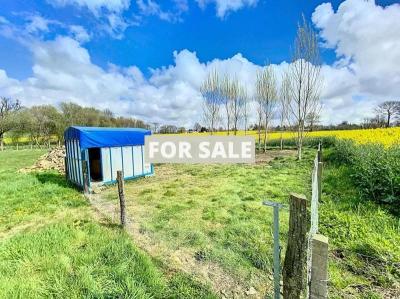 Detached Country House with Open Views