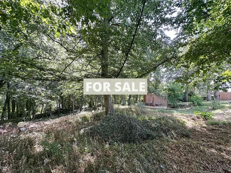 Detached House with Pool close to the Coast