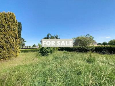 Detached Country House with Open Views