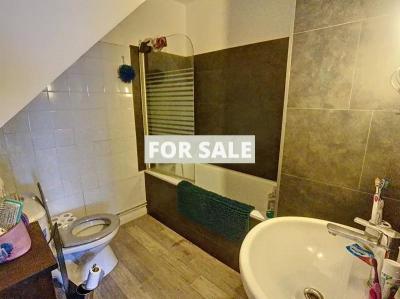 Large House Divided into Apartments with Garden