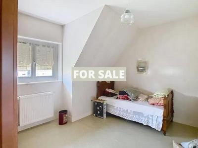 Detached House with Garden