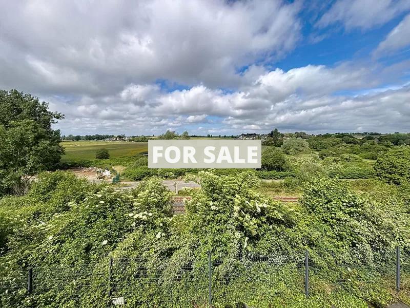 Detached House with Garden
