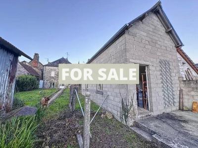 Manor House Style with Outbuilding