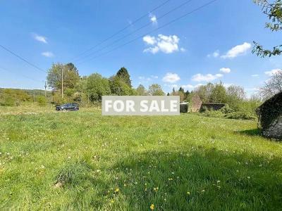 Property For Sale
