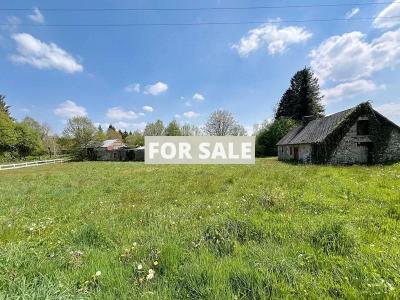 Property For Sale